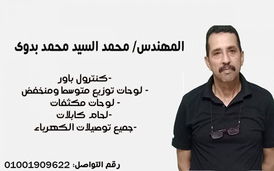 المهندس/ محمد السيد محمد بدوى